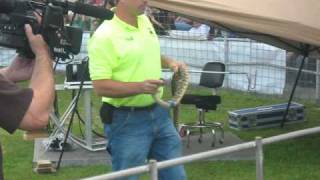 rattlesnake rodeo [upl. by Duwad692]