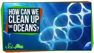 How Can We Clean Up the Oceans [upl. by Graubert574]