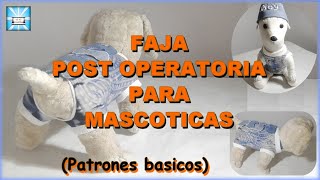 COMO HACER FAJA POST OPERATORIA PARA TU MASCOTA Patrones basicos  Tutorial completo [upl. by Reuben]