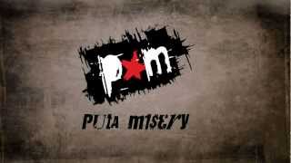 Adrian Sina  Angel Puta Misery Pop Punk Cover [upl. by Lucania]