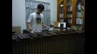 Happy Birthday Song on Marimba with Five Mallets Alex LEE [upl. by Quirk]