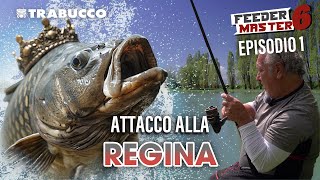 PESCA A FEEDER ALLA RICERCA DELLA CARPA REGINA  FISHING FEEDER MASTER S6 E1 [upl. by Anale]