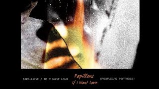 Citrus  Papillons  If I Want Love feat Panthera Official Audio [upl. by Enaek]