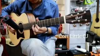 Cort Little CJ vs Taylor GS Mini  3x the price difference is 3x better [upl. by Joshua]