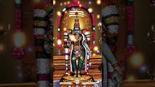 Manthiram Avadhu Neeru  Thevaram  Thirugnana Sambandar மந்திர மாவது நீறு [upl. by Yevad]