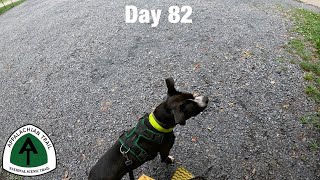 Day 82  Rocky road to Duncannon  Appalachian Trail 2024 [upl. by Aicnatsnoc]