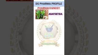 Asafoetida drug pharmacognosy rrb shorts niper gpat [upl. by Etteb]