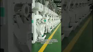 Sorghum Peeling Machine Grainamp Edible Oil mill machine EPC services providerwwwimmycn [upl. by Uolymme]