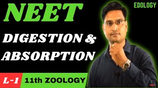 Digestion and Absorption FULL CHAPTER  NCERT Class 11th Zoology  NEET 2024  EDOLOGY NEET [upl. by Laurel]