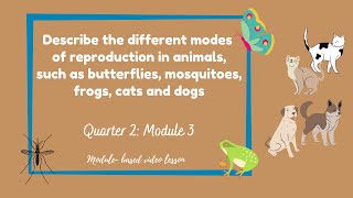 SCIENCE 5 Different Modes of Reproduction in Animals Quarter 2Module3 [upl. by Ilocin]