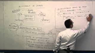 Introduction to ALLOTMENT OF SHARES Company Law VIDEO for CACSCMA [upl. by Atteragram]