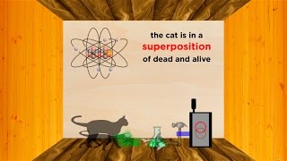 The Heisenberg Uncertainty Principle Part 1 PositionMomentum and Schrödingers Cat [upl. by Keelby619]