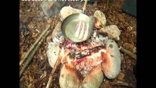 Bushcraft Cooking [upl. by Akirdnwahs]