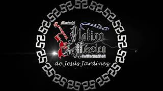 El Hidalguense  Mariachi Platino de México de Jesús Jardinez [upl. by Kashden492]