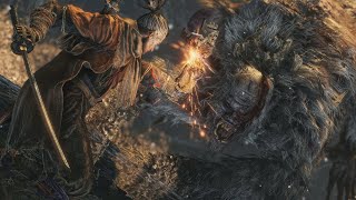 What Mastering Sekiro Combat Looks Like [upl. by Ailecnarf]