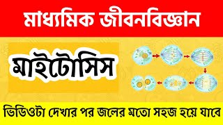 মাইটোসিস  Mitosis Cell Division in Bengali  WBBSE Class 10 Life Science Chapter 2 in Bengali [upl. by Quenby226]