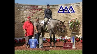 VS CRACKED THE CODE  2018 TRIPLE CHALLENGE FUTURITY [upl. by Orfield]