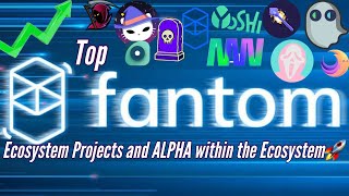 Top Fantom Ecosystem Gems  How to Setup Fantom Opera Wallet Lucrative Staking APRs [upl. by Atikat]