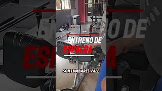 Ejercicio para lumbares con 20Kg fitness fuerza gym gimnasio entrenamiento [upl. by Orford]