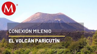 Un mar de lava en Michoacán  Conexión Milenio [upl. by Brenner405]