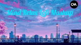 Mind Relax Lofi song 2024 in Hindi  Most beautiful relaxing music in the world 🎶 [upl. by Tonie841]