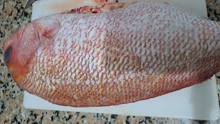 Slicing Maya Maya Fish ASMR fish wow food slicing Aling tindera vlogs [upl. by Bret108]