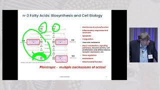 03 Richard Deckelbaum Omega3 Fatty Acids New Frontiers [upl. by Eustace]