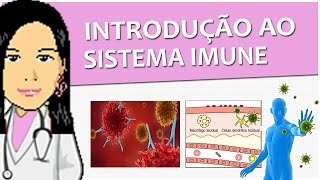 Imunologia 01  Introdução ao Sistema Imune imunidade passiva ativa inata adquirida  Vídeo aula [upl. by Agnella]