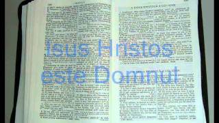 24  2  IOAN  Noul Testament  Biblia Audio Romana [upl. by Ciaphus86]