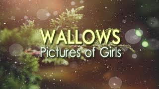 Wallows  Pictures of Girls Lyric Video [upl. by Nellda]