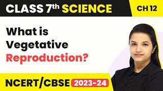 What is Vegetative Reproduction  Reproduction in Plants  Class 7 Science Chapter 12 [upl. by Cyrillus]