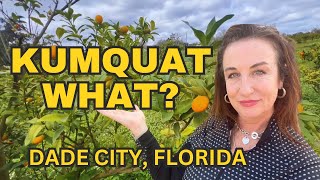 DADE CITY Florida  KUMQUAT FESTIVAL 🍊🍊🍊 [upl. by Middendorf]