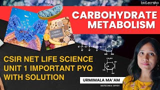 Carbohydrate Metabolism  CSIR NET Life Science UNIT 1 Important PYQs With Solution  Dont Miss [upl. by Cleopatra]