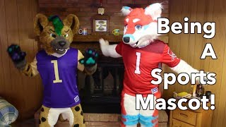 how FURRIES can be SPORTS MASCOTS a guide [upl. by Alag]