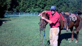 How to Bridle a Horse [upl. by Pickering]