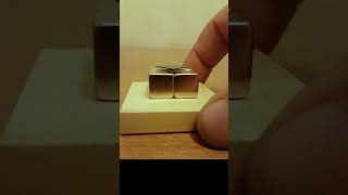 Diamagnetic Levitation physics lab experiment [upl. by Brotherson691]