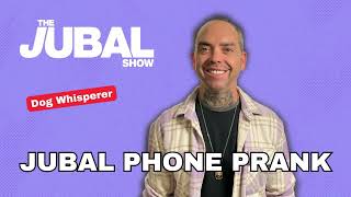 Dog Whisperer  Jubal Phone Prank  The Jubal Show [upl. by Eixel476]