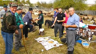 IMBAIATUL TRADITIONAL AL OILOROBICEI CIOBANESC VECHIIN COMUNA STARCHIOJD [upl. by Geer]