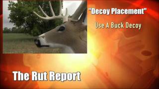 Rut Report Decoy Placement [upl. by Yenahteb]