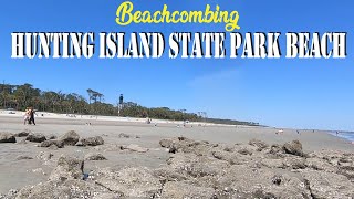 Visiting HUNTING ISLAND STATE PARK BEACH in Beaufort SC for a day of Beachcombing [upl. by Derriey]