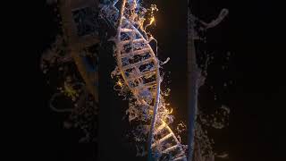 DNA in Motion Short Animated Insights into Genetic Wonders [upl. by Adnirak]