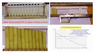 Mise en évidence des échanges deau au niveau dun tissu végétal la pomme de terre [upl. by Iredale]