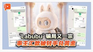 汇款换黄金？受害者揭黄牛“Labubu”骗局 [upl. by Teagan449]