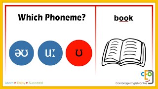 Which Phoneme Part 3 [upl. by Treblih]