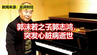 郭沫若之子郭志鸿， 突发心脏病逝世 [upl. by Amick]