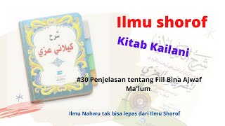 Ngaji Ilmu Shorof  Kitab Kailani Bagian 30  Fiil Bina Ajwaf Malum [upl. by Annek]