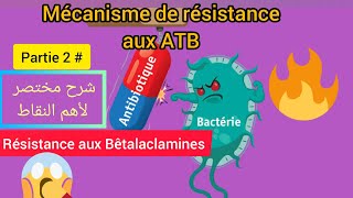 Mécanisme de résistance aux antibiotiques partie2résistance aux Bêtalaclamines🔥👍👍 [upl. by Dnaleel]