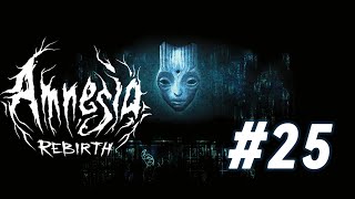 Roller Coaster  Lets noob Amnesia Rebirth 25 [upl. by Gipsy]