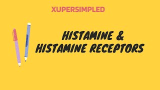 Histamine amp Histamine Receptors  XUPERSIMPLED [upl. by Htebazle]