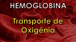 Como a HEMOGLOBINA transporta o oxigênio [upl. by Fillian854]